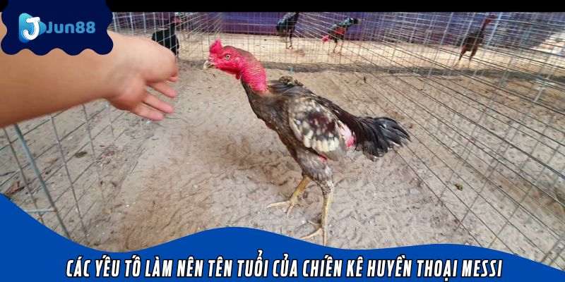 Các yếu tố làm nên tên tuổi của chiến kê huyền thoại Messi