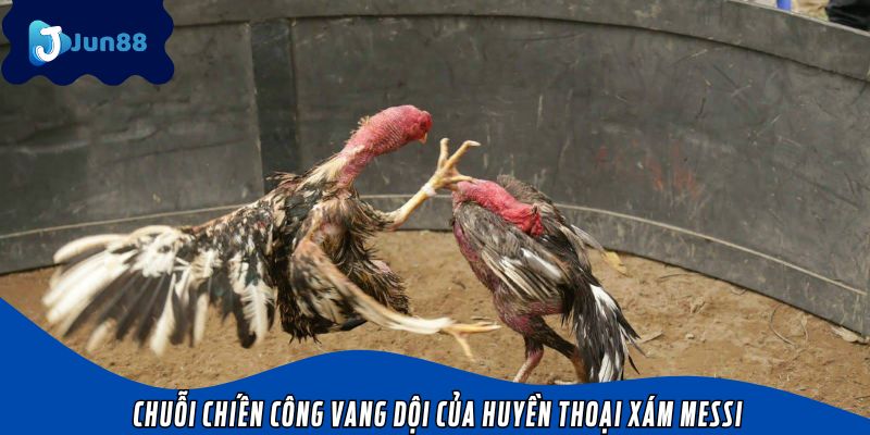 Chuỗi chiến công vang dội của huyền thoại xám Messi