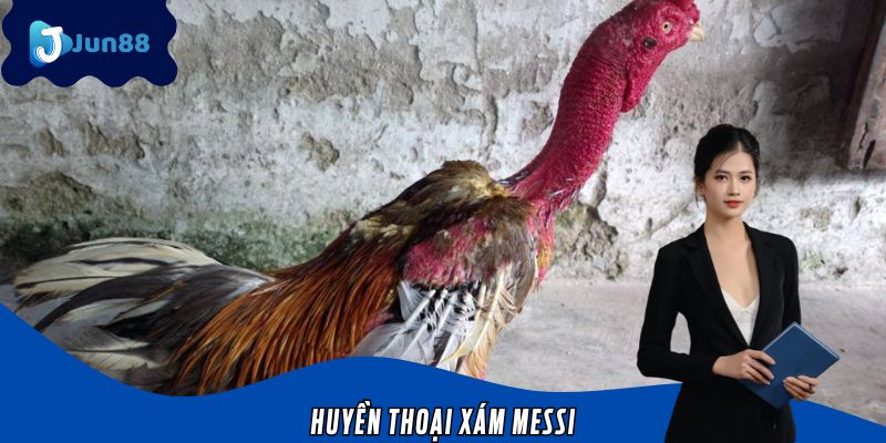 Huyền Thoại Xám Messi Jun88 - Chiến Kê Trăm Trận Trăm Thắng