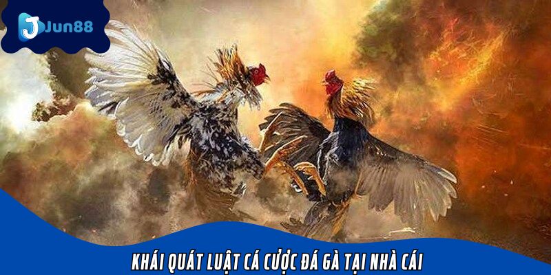 Khái quát luật cá cược đá gà tại nhà cái