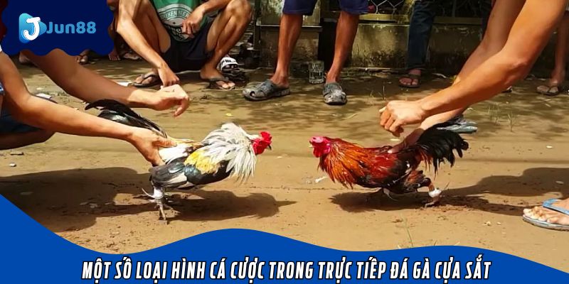Một số loại hình cá cược trong trực tiếp đá gà cựa sắt