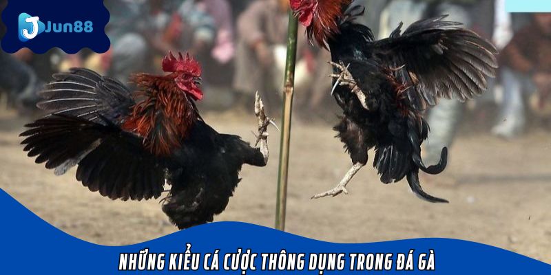 Những kiểu cá cược thông dụng trong đá gà