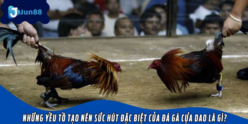 Sơ lược về huyền thoại xám Messi