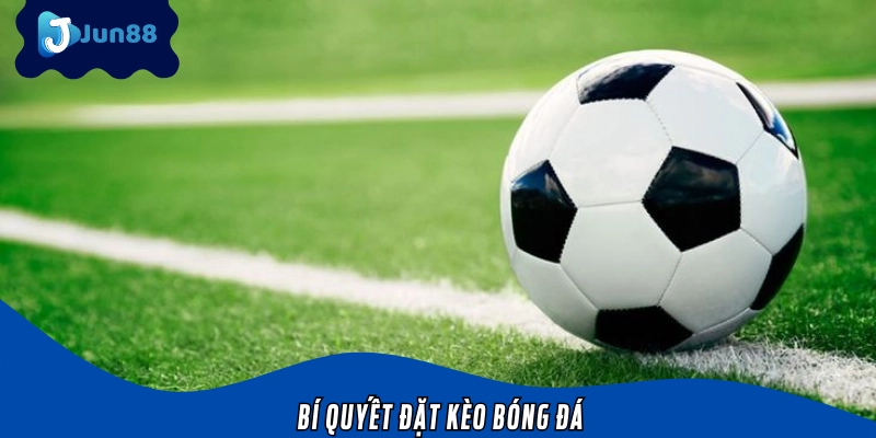 Những chiến thuật để chơi cá độ bóng đá dễ ăn