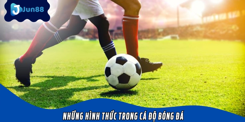 Tổng hợp các hình thức khi chơi cá độ