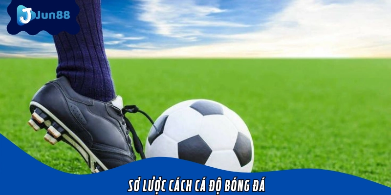 Lý do nên học cách cá độ bóng đá
