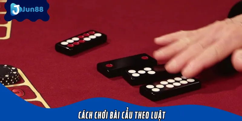 Khái niệm về game bài cẩu