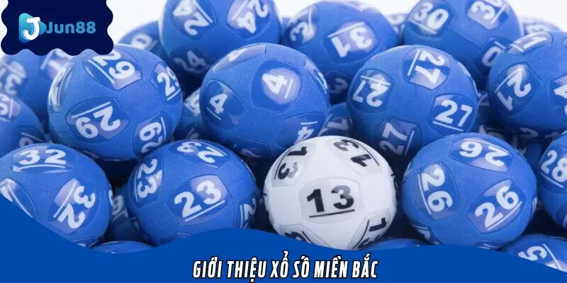 Xổ số miền Bắc là loại hình phổ biến hiện nay với nhiều mức cược đa dạng