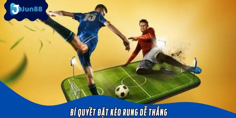Các chiến lược dành riêng cho bạn muốn chơi kèo rung